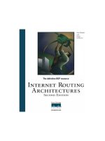 Tài liệu Internet Routing Architectures P1 ppt