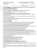 Bài giảng Đề thi lý thuyết GVG năm học 2010-2011