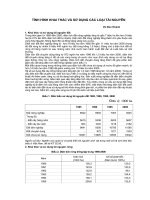 Tài liệu Tình hình khai thác và sử dụng các loại tài nguyên pptx