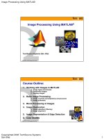 Tài liệu Image Processing Using MATLAB doc