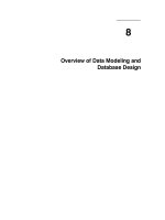 Tài liệu overview of data modeling and database design pptx