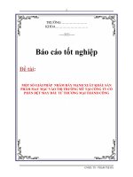 Tài liệu Báo cáo tốt nghiệp: 