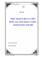 Luận văn thực trạng cho vay tiêu dùng tại ngân hàng á châu – PGD nguyễn ảnh thủ 