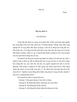 Nghiên cứu hệ thống điều khiển công đoạn lò nung cho dây chuyền 2 nhà máy xi măng Hoàng Thạch