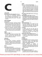 Tài liệu CAMBRIGDE INTERNATIONAL DICTIONARY OF IDIOMS_ CHƯƠNG 2.1 pdf