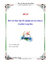 Tài liệu Báo cáo thực tập tốt nghiệp tại của công ty cổ phần Long Bảo pptx