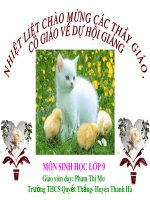 Gián án Bài 44. Ảnh hưởng lẫn nhau (Hội giảng cấp tỉnh huyện Thanh Hà Hot)