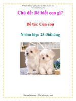 Tài liệu Chủ đề: Bé biết con gì? - Đề tài: Cún con - Nhóm lớp: 25-36tháng docx