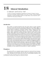Tài liệu Quantitative aspects of ruminant digestion and metabolism - Phần 14 docx