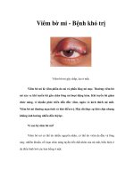Tài liệu Viêm bờ mi - Bệnh khó trị pdf