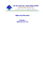 Tài liệu Bệnh hại lúa ppt