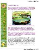 Tài liệu Loài sen kỳ lạ ở Đồng Tháp doc