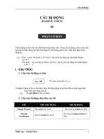 Cau bi dong don gian de hieu 