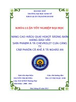 Nâng cao hiệu quả hoạt động bán hàng đối với sản phẩm ô tô cherrolet của công ty cổ phần cơ khí nghệ an 