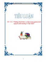 Tài liệu Tiểu luận 