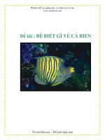 Tài liệu Chủ đề: Thế giới động vật - Đề tài : BÉ BIẾT GÌ VỀ CÁ BIỂN doc
