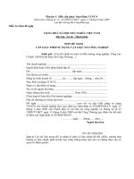 Tài liệu Mẫu cấp phép hoạt động VLNCN ppt