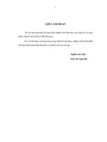 Nghiên cứu tác động đến môi trường tự nhiên của quá trình đô thị hóa ở thành phố vinh, tỉnh nghệ an 