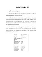 Tài liệu Nhãn Tiêu Da Bò pptx