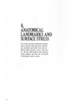 Tài liệu Drawing Dynamic Hands - Vẽ bàn tay - Phần 4 pdf