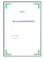 Tài liệu Tiểu luận phương pháp tính ppt