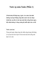 Tài liệu Nước ép mùa Xuân (Phần 1) docx