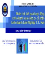 Slide phân tích kết quả hoạt động kinh doanh của công ty cổ phần kinh doanh lâm nghiệp t t  huế 