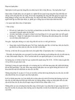 Gián án nghĩa vụ và hạnh phúc