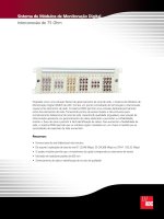 Tài liệu Sistema de Módulos de Monitoração Digital Interconexão de 75 Ohm pptx