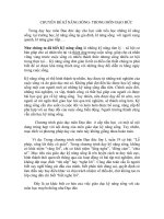 Gián án CHUYEN DE LONG GHEP KNS