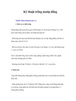 Tài liệu Kỹ thuật trồng mướp đắng docx