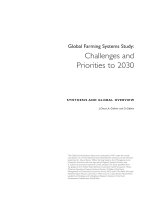 Tài liệu Global Farming Systems Study: Challenges and Priorities to 2030 SYNTHESIS AND GLOBAL OVERVIEW doc