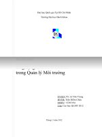 Tiểu luận   ud GIS trong quản lý nhiễm bẩn vi sinh trên sông và kênh rạch ở TpHCM 2011 