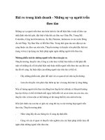 Tài liệu Rủi ro trong kinh doanh - Những sự vụ người trốn theo tàu pptx