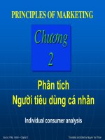 Tài liệu Phân tích người tiêu dùng cá nhân docx