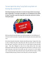 Tài liệu Tại sao người tiêu dùng Trung Quốc trung thành với thương hiệu nội địa pdf