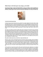 Tài liệu Nhãn hiệu & mối đe doạ từ các công cụ tìm kiếm pptx