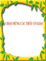 Bài giảng Từ đồng nghĩa khối 5