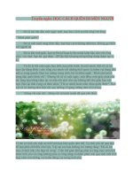 Truyện ngắn: Học cách quên đi một người