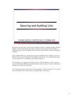 Tài liệu Securing and Auditing Unix doc
