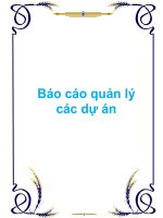 Tài liệu Báo cáo quản lý các dự án pdf