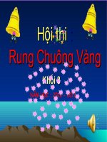Bài giảng câu hỏi rung chuong vang cn8