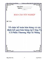 Tài liệu Báo cáo tốt nghiệp: