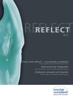 Sản Phẩm của Vivadent.Reflect 3.12