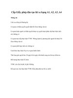 Tài liệu Cấp Giấy phép đào tạo lái xe hạng A1, A2, A3, A4 docx