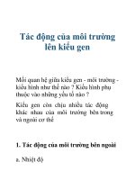Tài liệu Tác động của môi trường lên kiểu gen doc