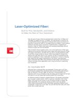 Tài liệu ADC KRONE - Guide - FO - Laser Optimized Fiber better in Price, Bandwidth, and Distance ppt