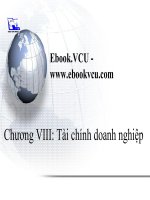 Chương VIII: Tài chính doanh nghiệp