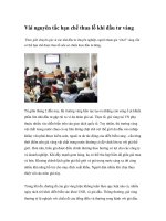 Tài liệu Vài nguyên tắc hạn chế thua lỗ khi đầu tư vàng ppt