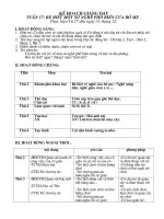 Bài giảng ke hoach tuan 17